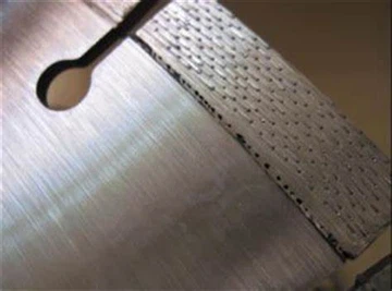 Đây là người bạn tốt của chúng tôi